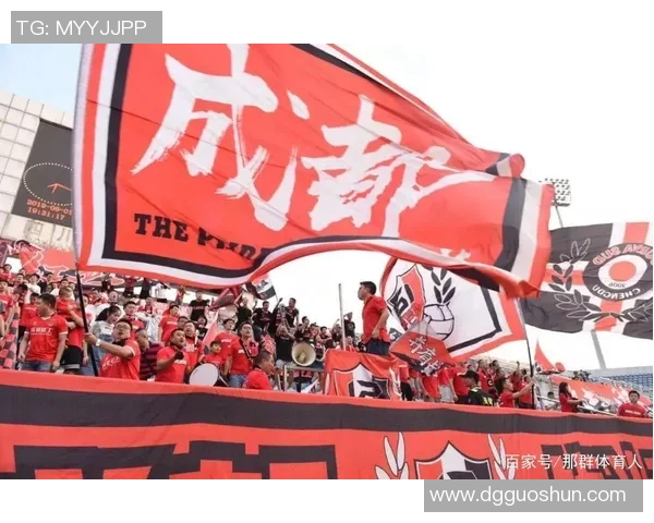 成都足球队近期状态分析与表现评估：数据背后的故事与趋势探讨