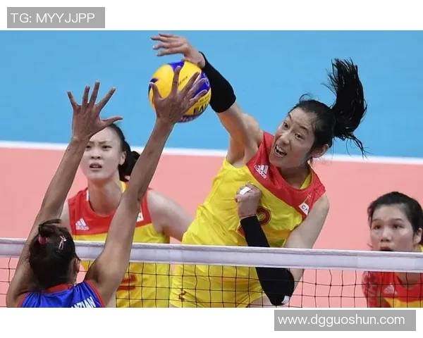 武汉排球队逆袭之路揭示团结与拼搏的力量总决赛特别报道