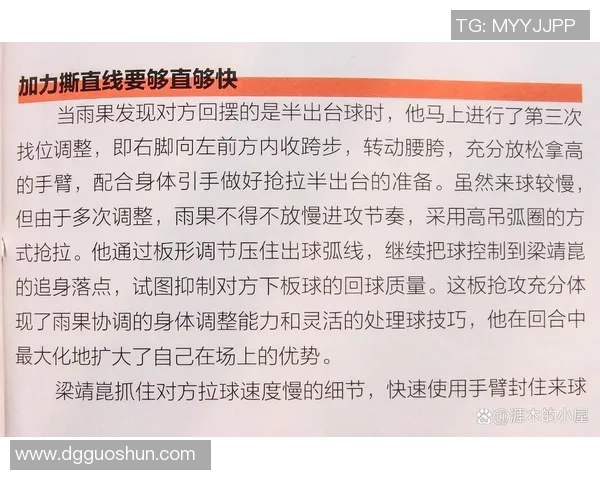 南京乒乓球队总决赛表现分析速度优势与战术运用的深度解读